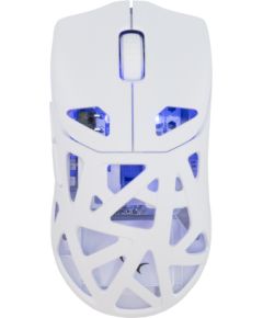 White Shark GM-5019 Dagonet Wireless 24000 dpi White