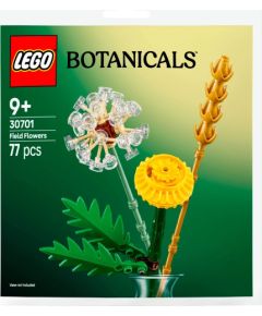 LEGO Botanicals Kwiaty polne (30701)