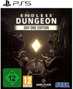 PS5 Endless Dungeon Playstation 5 video spēle