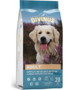 DIVINUS Adult - dry dog food - 20 kg