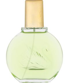 Gloria Vanderbilt Jardin a New York EDP 100 ml