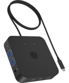 Raidsonic DOKSTACIJA  Icy Box 12w1 USB-C (IB-DK4090-C)