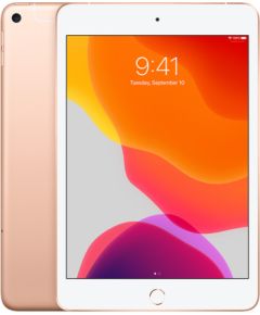 Apple iPad 5 9.7" 32GB WiFi + Cellular - Gold (Atjaunināts, stāvoklis labi)