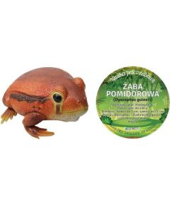 Colorovo *****Żaba pomidorowa 27cm 21484 14840****