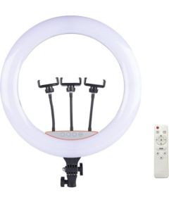 Elight SR18 46cm LED apgaismojošais gredzens ar 3x smartfona turētāju + 220V adapteri + BT tālvadības pulti Melns
