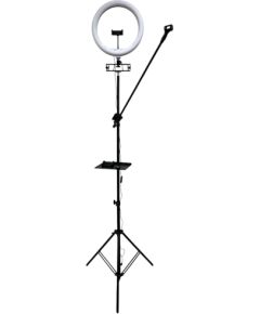 iLike S14 LED 30W Selfie 36cm Gredzenveida Gaisma + Statīvs 2.1m + Plaukts & 3x tālruņa / Mikrofona Turētājs Melns