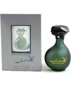 Salvador Dali Pour Homme Edt Spray 100 ml