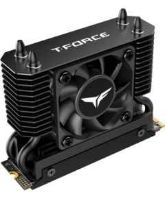 Team Group T-Force GE Pro 4 TB (black/gold, PCIe 5.0 x4 | M.2 2280 | AirFlow I heatsink)