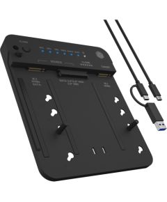 Raidsonic Icy Box IB-2913MCL-C31 (2.5""/3.5"" SATA, M.2 NVMe)