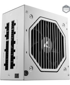 Sharkoon Rebel P20 1000 White, PC power supply (white, 1x 12 pin high power connector, 4x PCIe, cable management, 1000 watts)