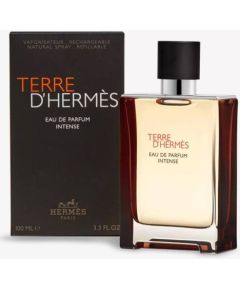 Hermes Terre D'Hermes Eau Intense Parfum Spray 100 ml