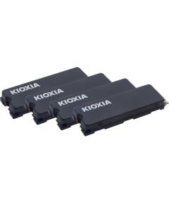 Kioxia Exceria with Heatsink 4 TB, SSD (PCIe 4.0 x4, M.2 2280)