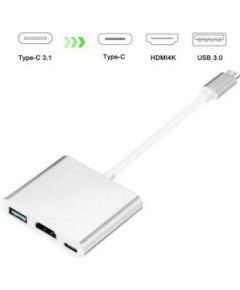 iLike   HD1 3in1 USB-C (Type-C) Plug to HDMI 4K / USB 3.0 / USB-C Female Audio&Video Cable Adapter Silver