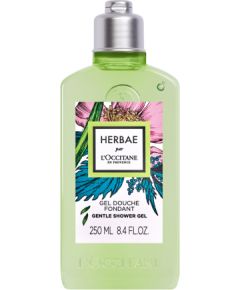 L'Occitane Herbae Gentle Shower Gel 250 ml