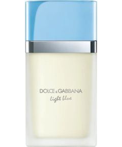 Dolce & Gabbana DOLCE&GABBANA Light Blue Woman EDT spray 30ml