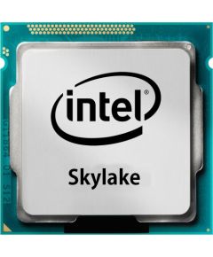 Procesors Intel Core i3-6100TE, 2.7 GHz, 4 MB, OEM (CM8066201938603)