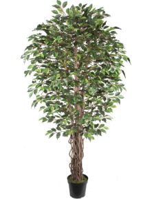 Mākslīgais koks WIND FICUS H210cm