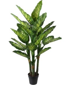 Mākslīgais augs WIND DIEFFENBACHIA H150cm