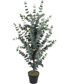 Mākslīgais koks WIND EUCALYPTUS H120cm