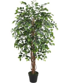 Mākslīgais koks WIND FICUS H150cm