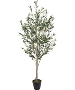 Mākslīgais koks WIND OLIVE  H180cm