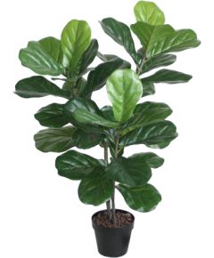 Mākslīgs koks FIDDLE LEAF H100cm, melns puķupods