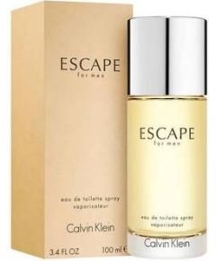 Calvin Klein Escape for Men EDT 100ml