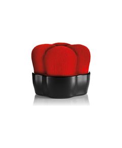 Shiseido Hanatsubaki Hake Polishing Face Brush