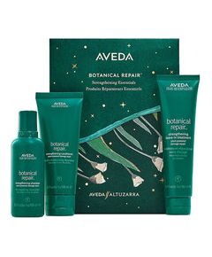 Aveda Botanical Repair Set