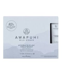 Paul Mitchell Awapuhi Wild Ginger Hydratriplex Treatment 100ml