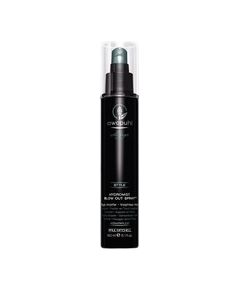 Paul Mitchell Awapuhi (Wild Ginger Hydromist Blow-Out Spray) 150 ml 150ml