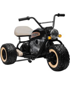 Lean Cars Battery-powered Tricycle LL6688 Black 24V