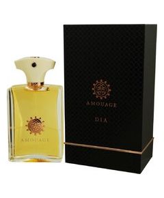 Amouage Dia pour Homme EDP 100ml