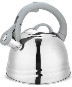 Non-electric kettle Maestro MR-1304