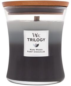 Woodwick Trilogy / Warm Woods 275g