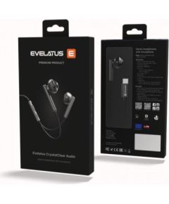 Evelatus   Crystal Clear Audio headphones with Type-C with microphone Black