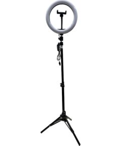 Elight ST10-5 26cm 10W LED Gaismas gredzens ar telefona fix + 0.5m Metāla Statīvs + BT pults Melna