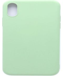 Evelatus Apple  iPhone X/Xs Nano Silicone Case Soft Touch TPU Mint