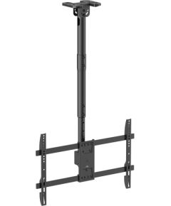 Maclean ceiling mount for TV, max load 60kg, 43-86", max VESA 600x400, MC-112 B