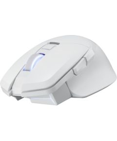 Power Color PowerColor ALPHYN AM10 WHITE