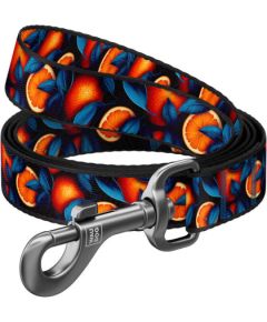 Nylon dog leash, pattern ''Oranges'' length 122 cm Waudog