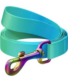 WAUDOG gradient nylon dog leash, 15mm wide, 122cm long, blue