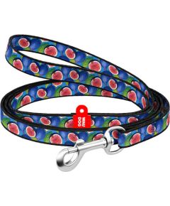 WAUDOG nylon dog leash 20 mm wide, 122 cm long "fig"