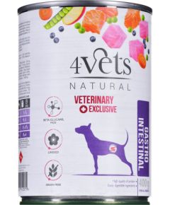 4VETS Natural Gastro Intestinal Dog - wet dog food - 400 g