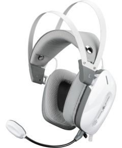 White Shark GH-2446 Gottan White