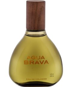 Antonio Puig Agua Brava EDC 100 ml Tester