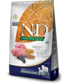 FARMINA N&D Ancestral Grain Lamb & Blueberry Adult Medium & Maxi dry dog food - 12 kg