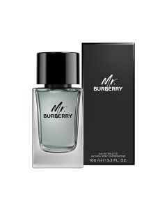 Burberry Mr. Burberry EDT spray 50ml