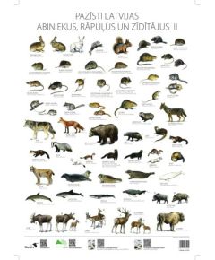 Gandrs Pazīsti Latvijas abiniekus, rāpuļus un zīdītājus II
