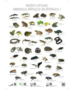 Gandrs Pazīsti Latvijas abiniekus, rāpuļus un zīdītājus I